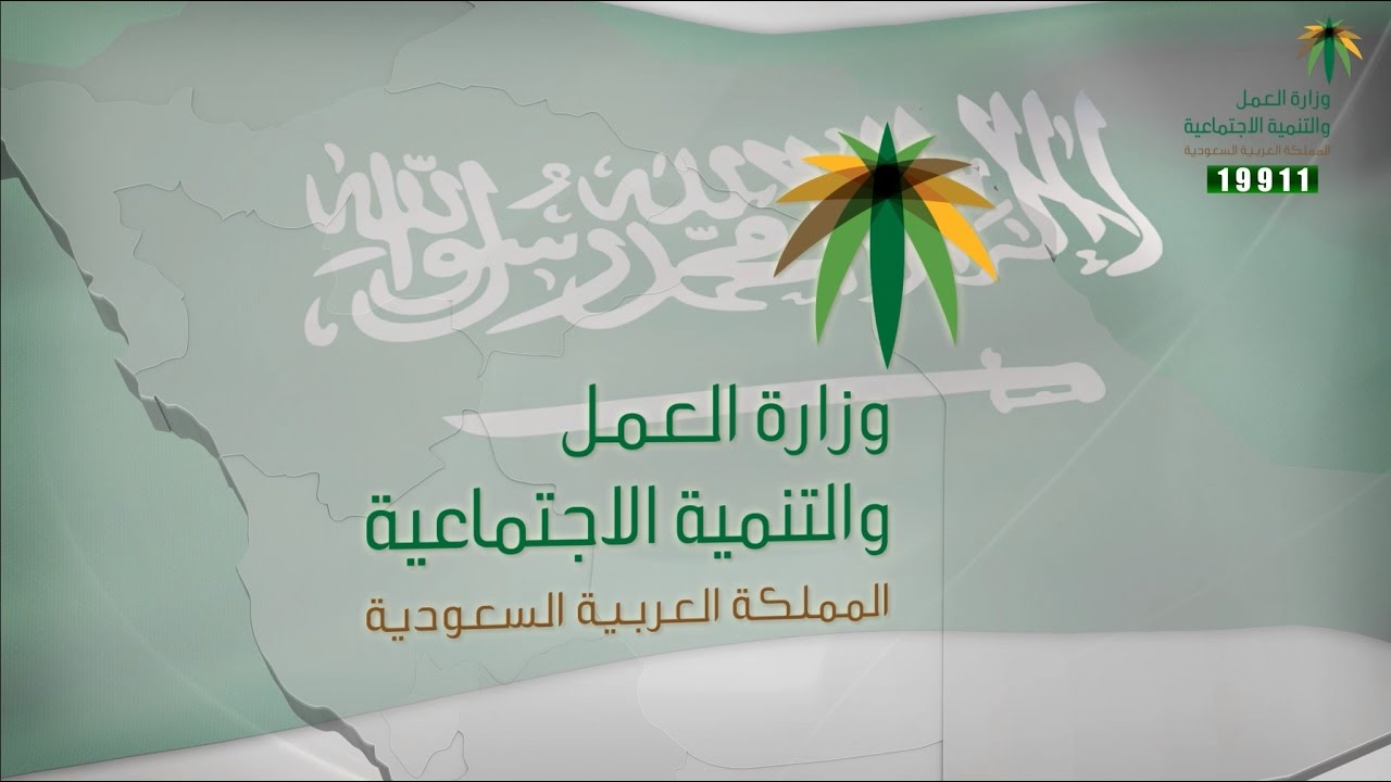  الاستعلام عن نطاق المؤسسة واسم الكفيل