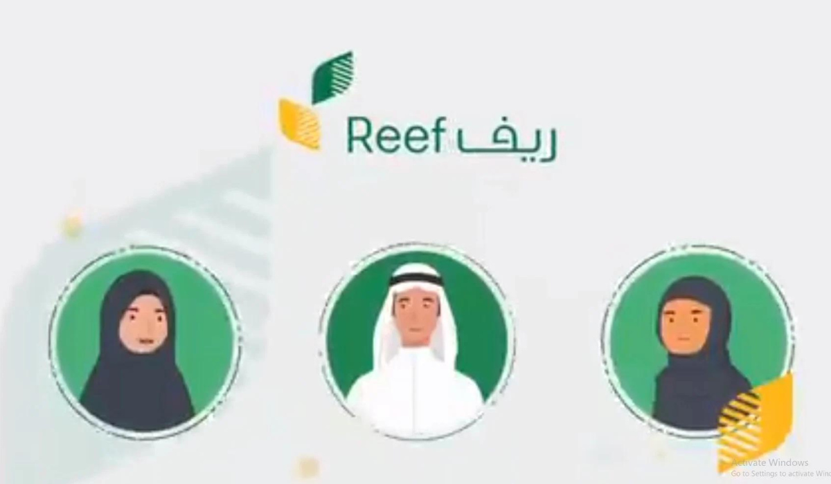 برنامج دعم التوظيف
