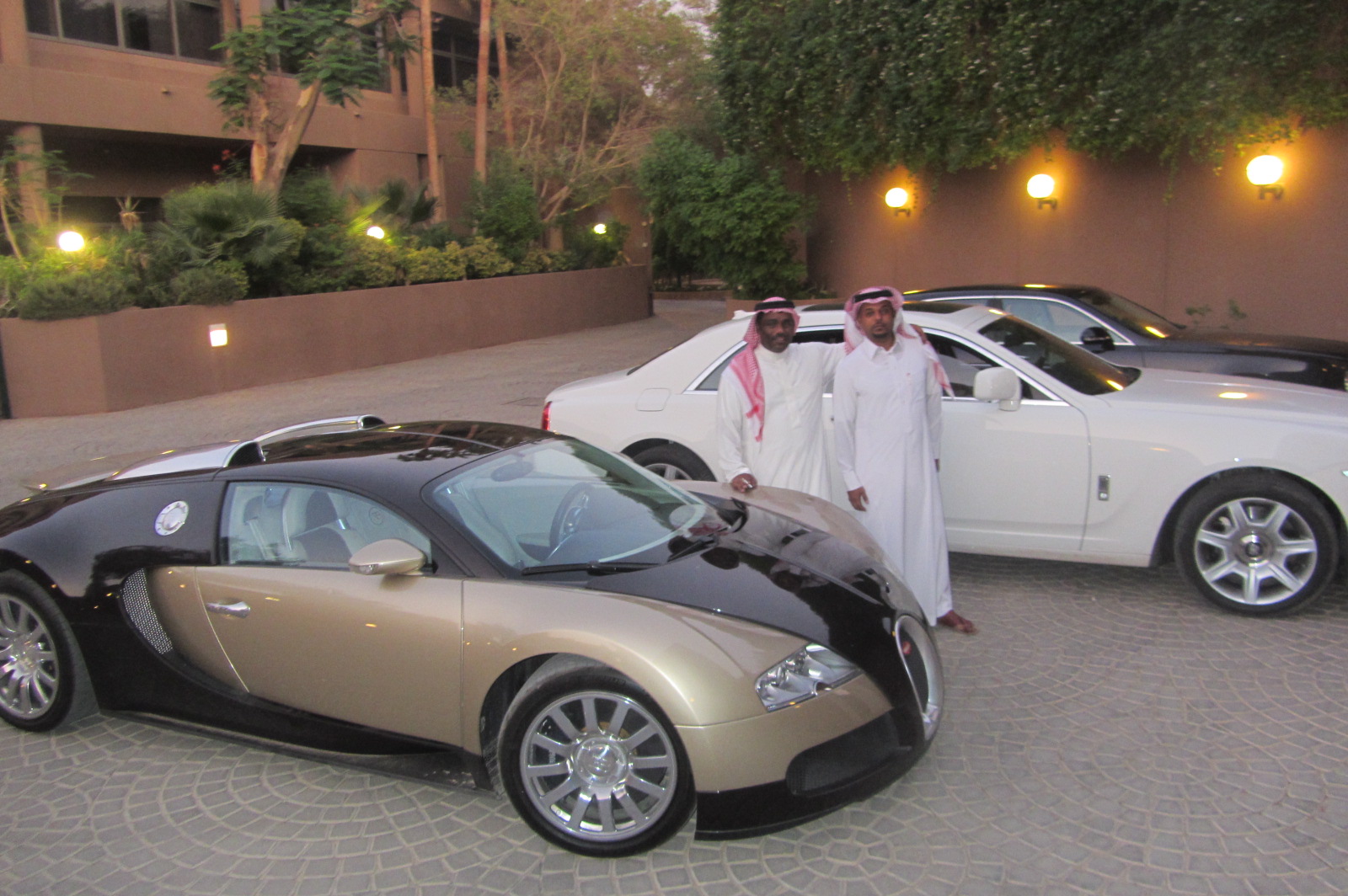 تأمين السيارات في السعودية