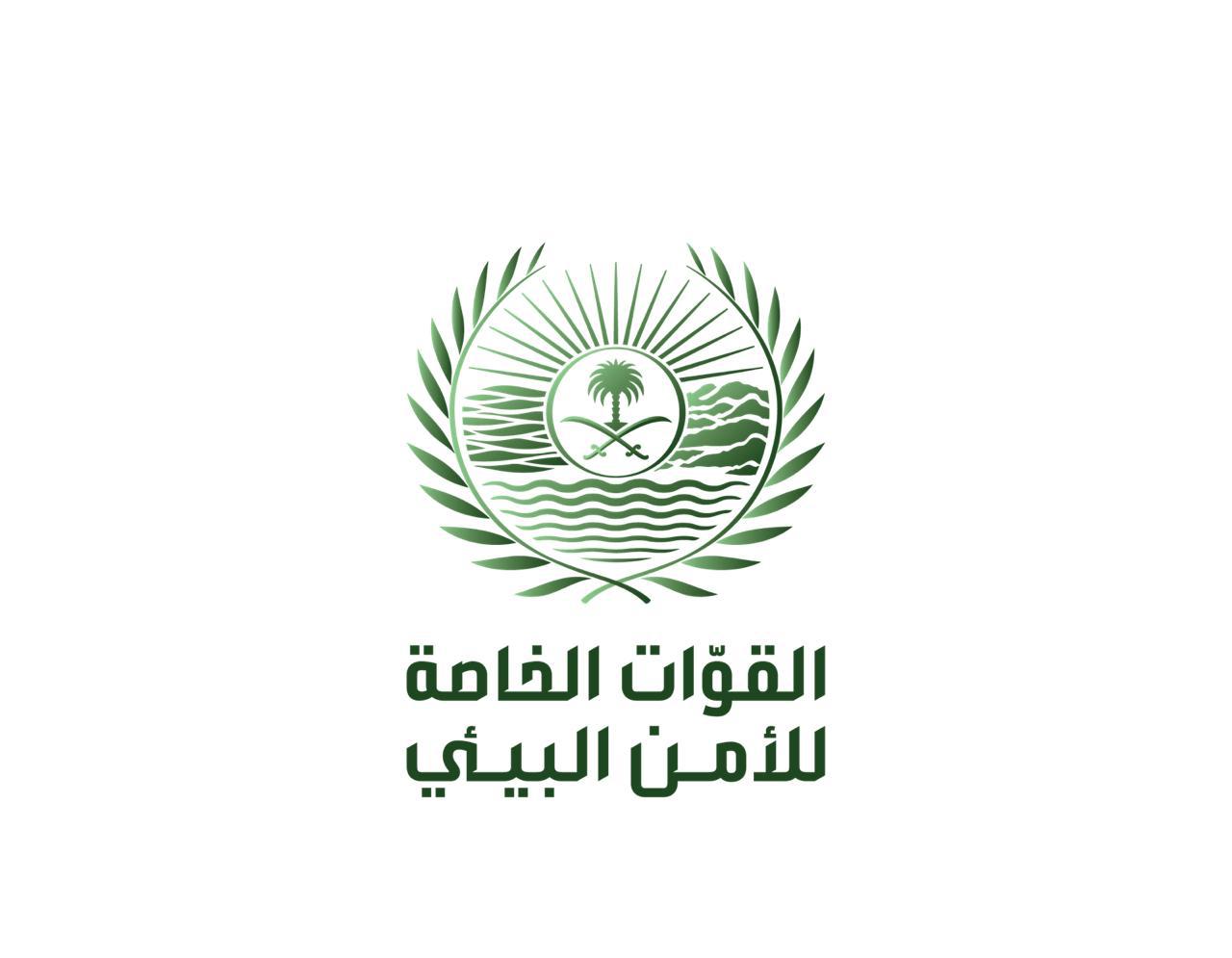 تقديم الامن البيئي