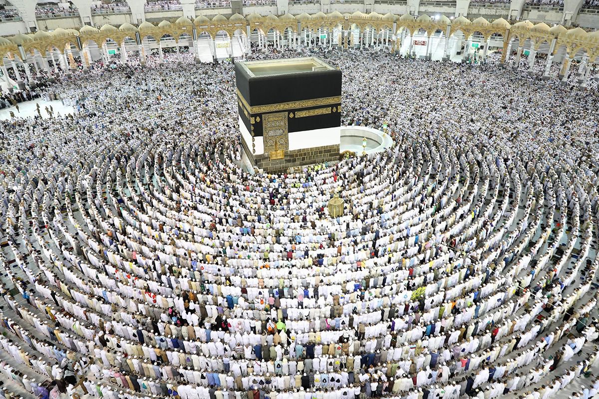 اسعار حملة المحيميد للحج 