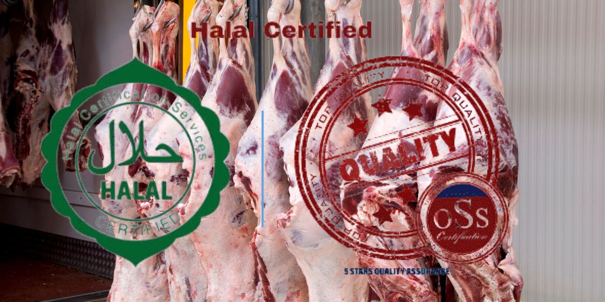 شهادة حلال