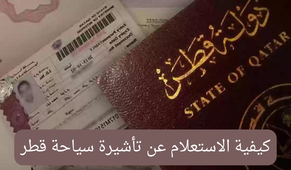 مميزات منصة هيا