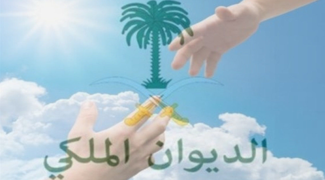 منصة بيانات المساعدات السعودية