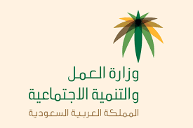 نظام الترقيات الجديد في الخدمة المدنية