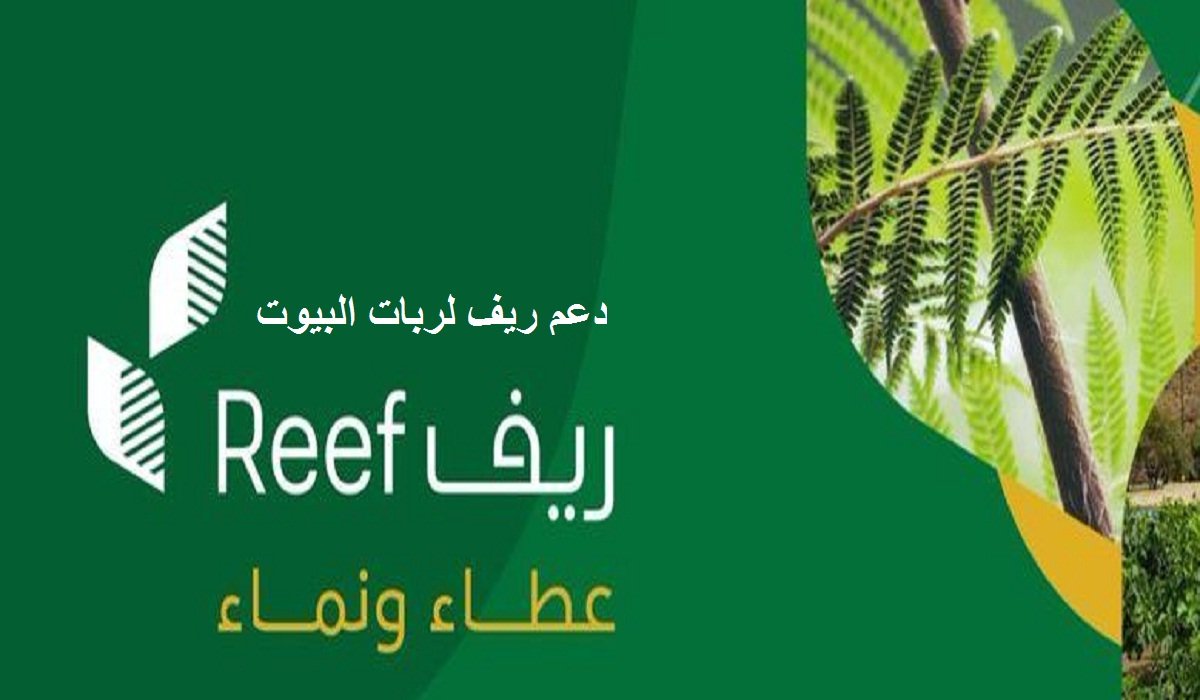 هل دعم ريف يؤثر على الضمان الاجتماعي