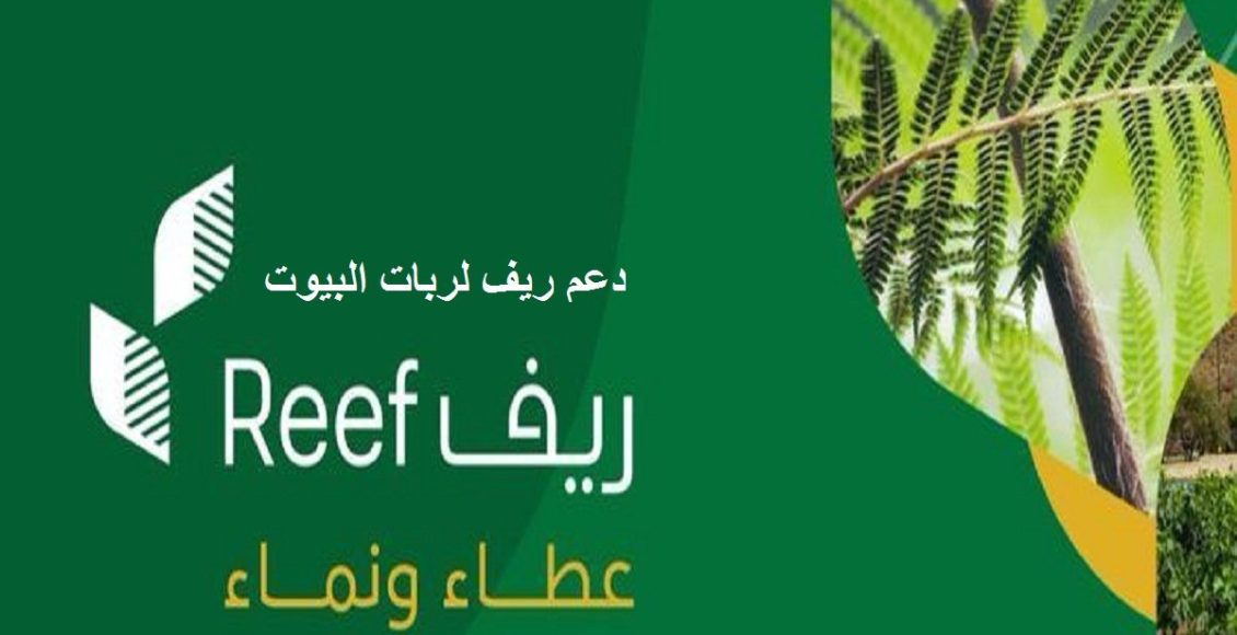 نزول الدعم الريفي لشهر نوفمبر 