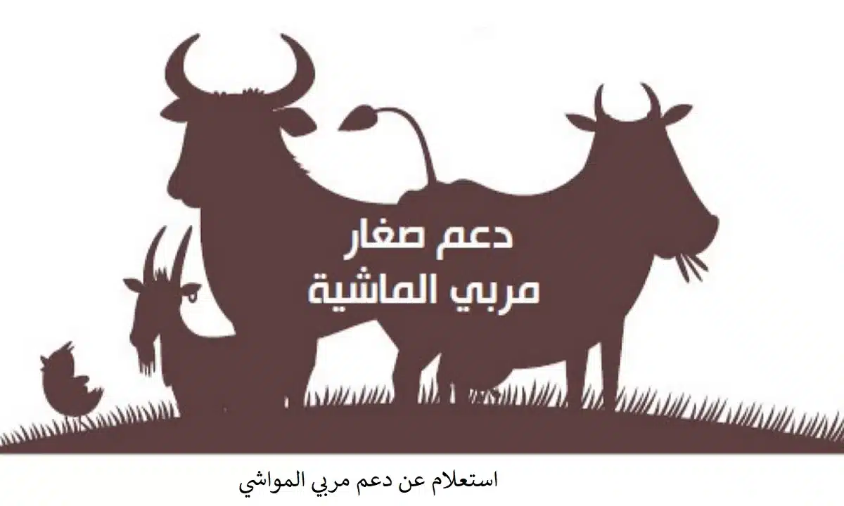 دعم مربي المواشي