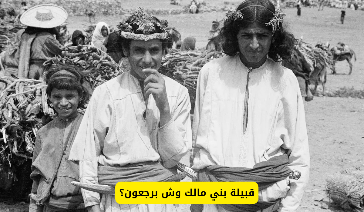 بني مالك