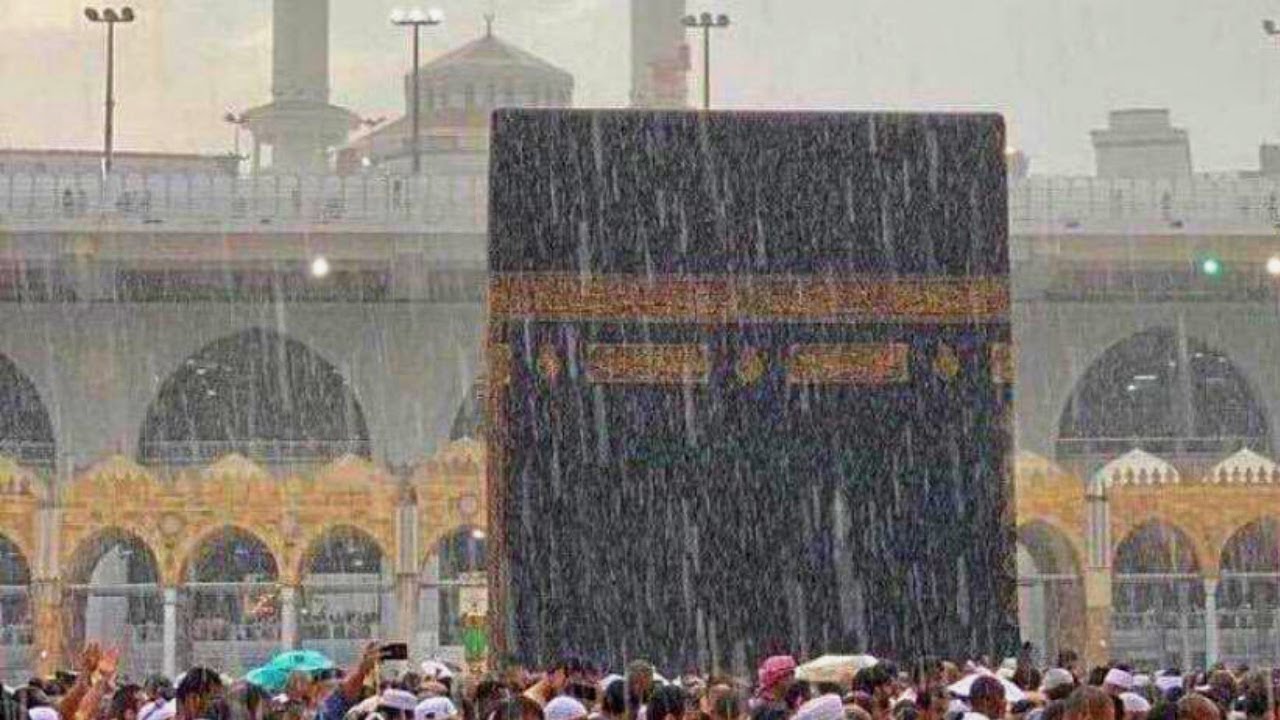 أمطار غزيرة وسيول مع شبه انعدام في الرؤية على 10 مناطق بالمملكة حتى غدا الأربعاء