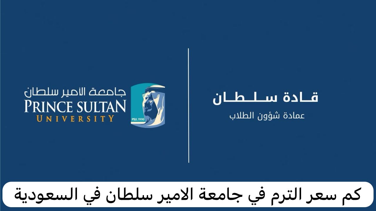 جامعة الأمير سلطان