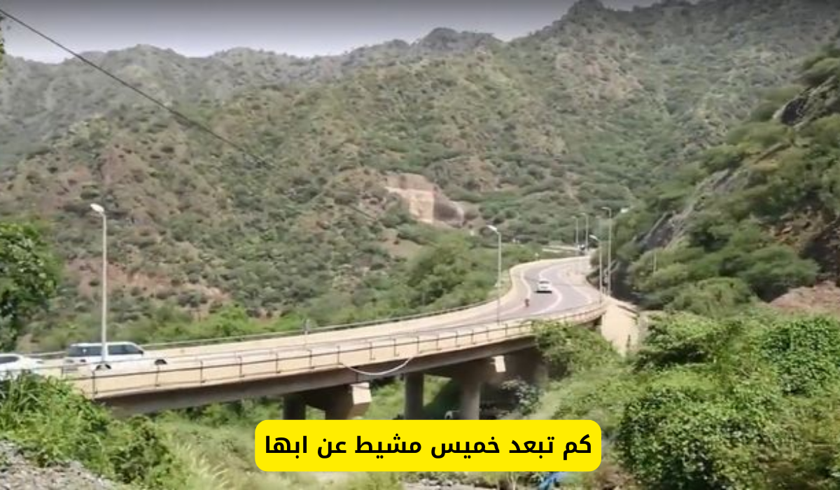 خميس مشيط