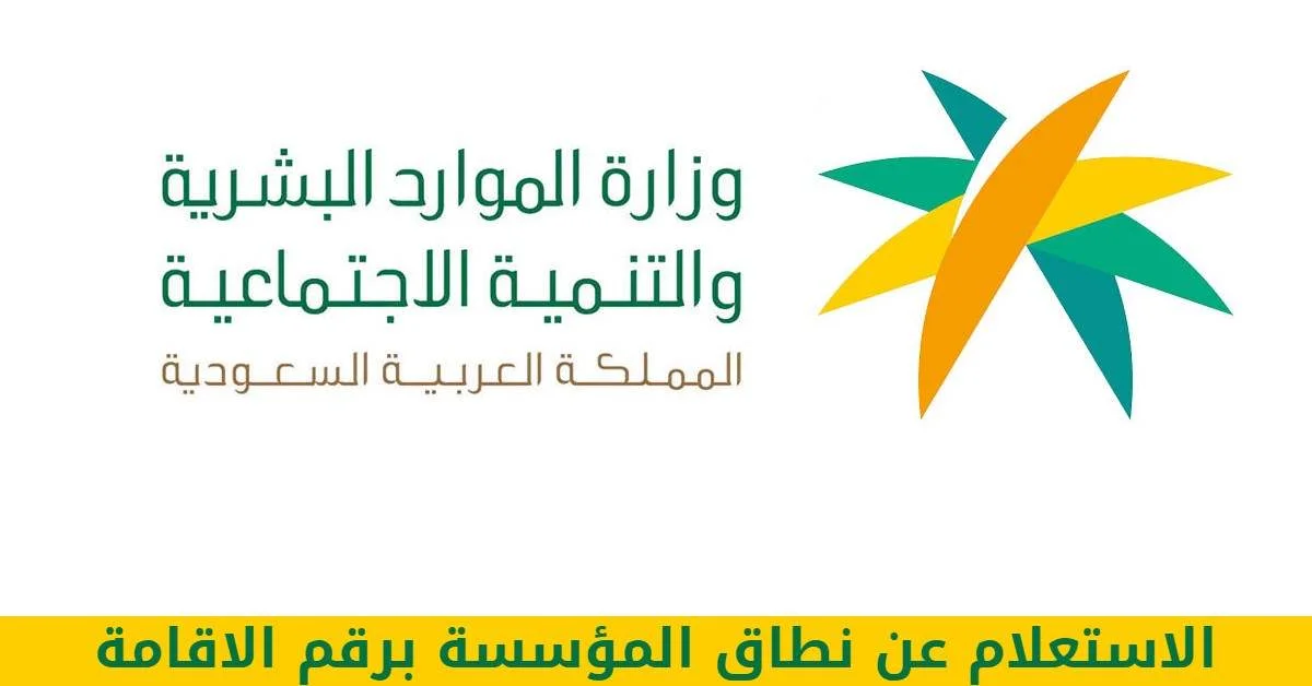 معرفة نطاق شركتك