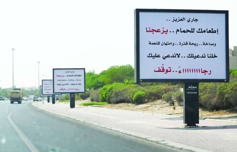 إطعام الطيور في السعودية جريمة!