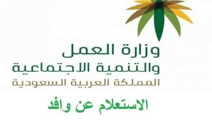  الاستعلام عن نطاق المؤسسة واسم الكفيل