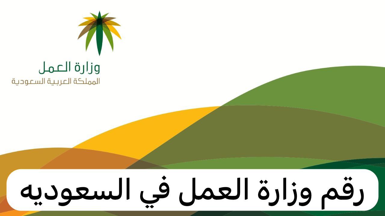 رقم وزارة العمل