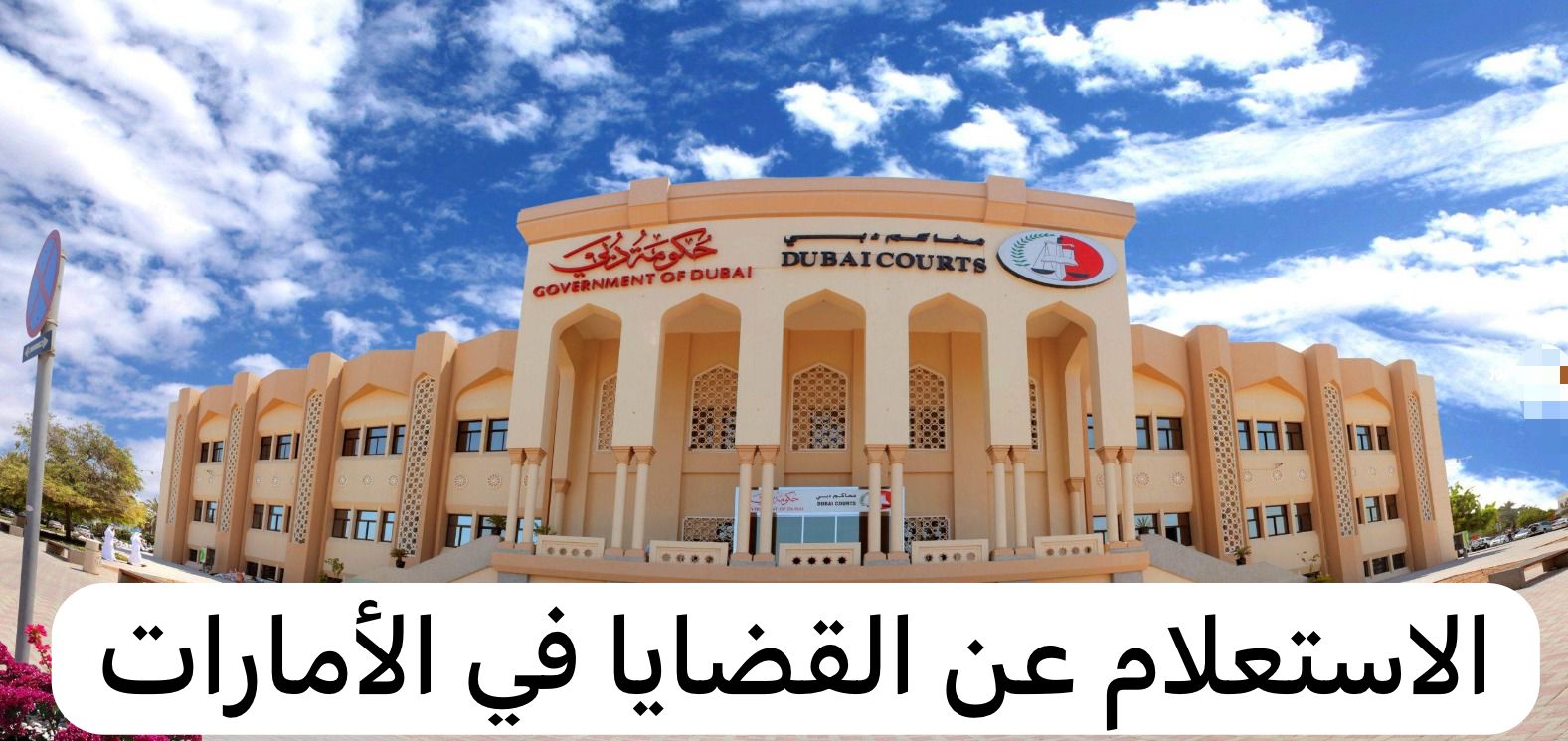 الاستعلام عن القضايا