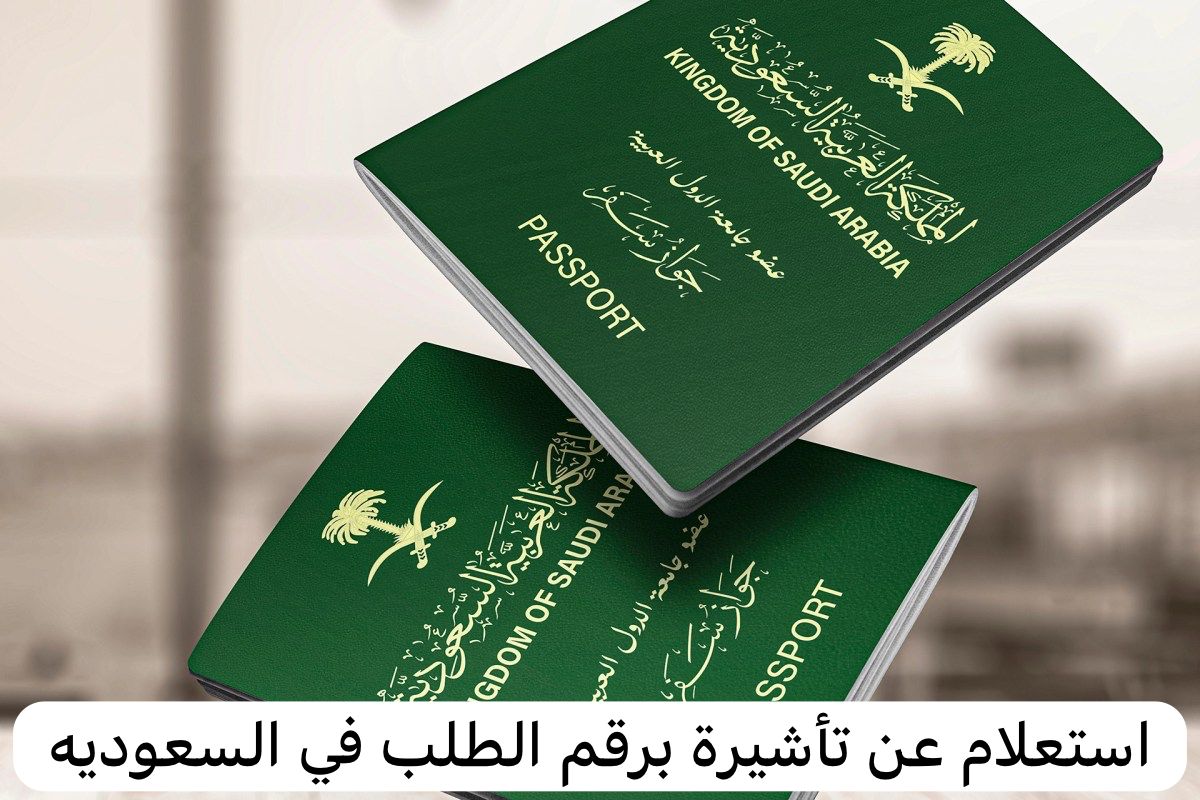استعلام عن تأشيرة برقم الطلب