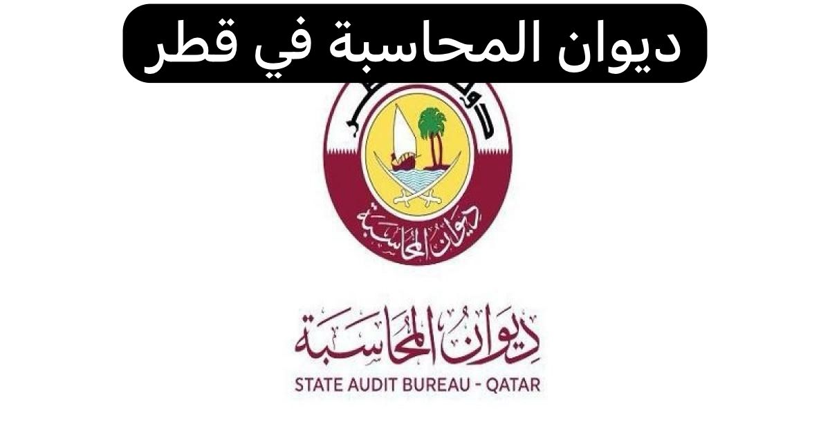 ديوان المحاسبة