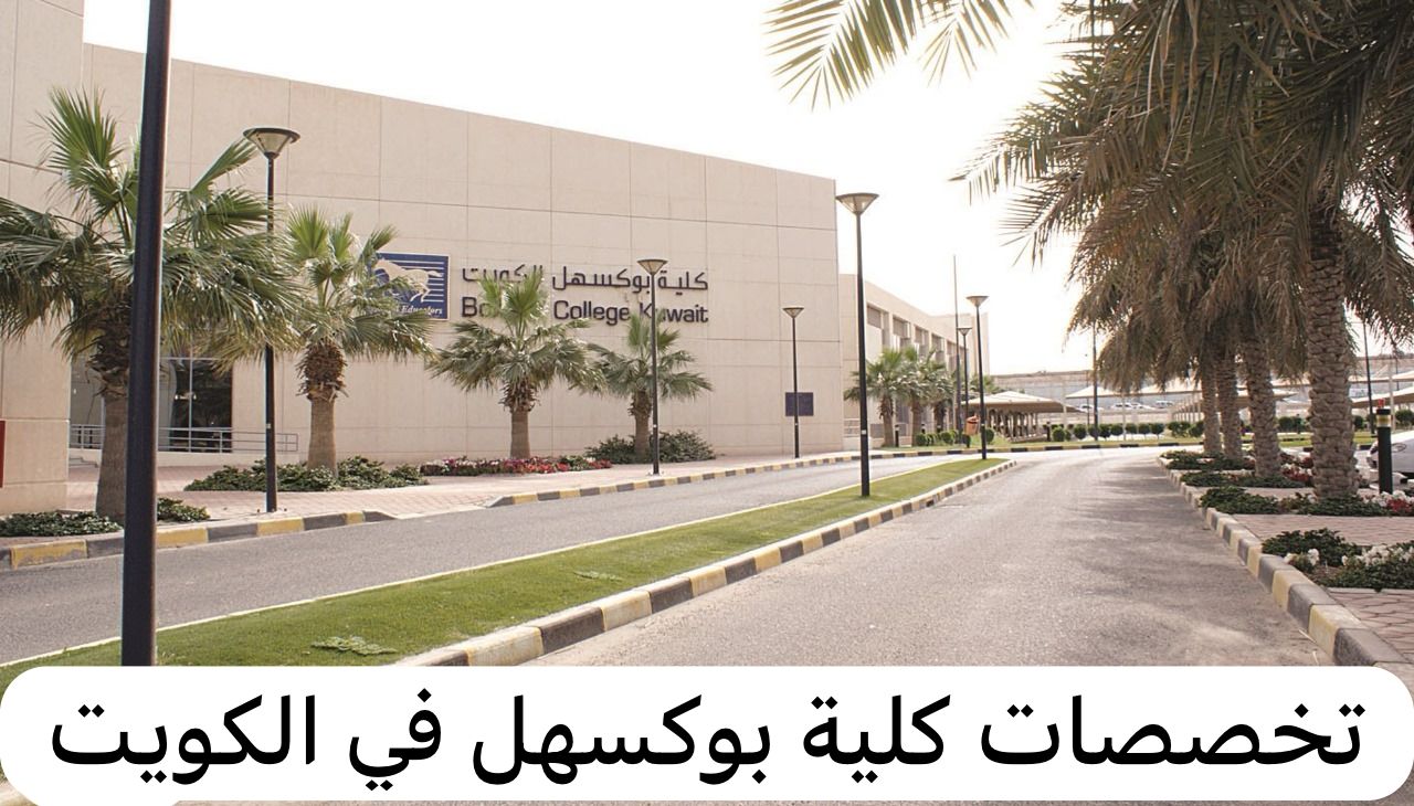 تخصصات كلية بوكسهل