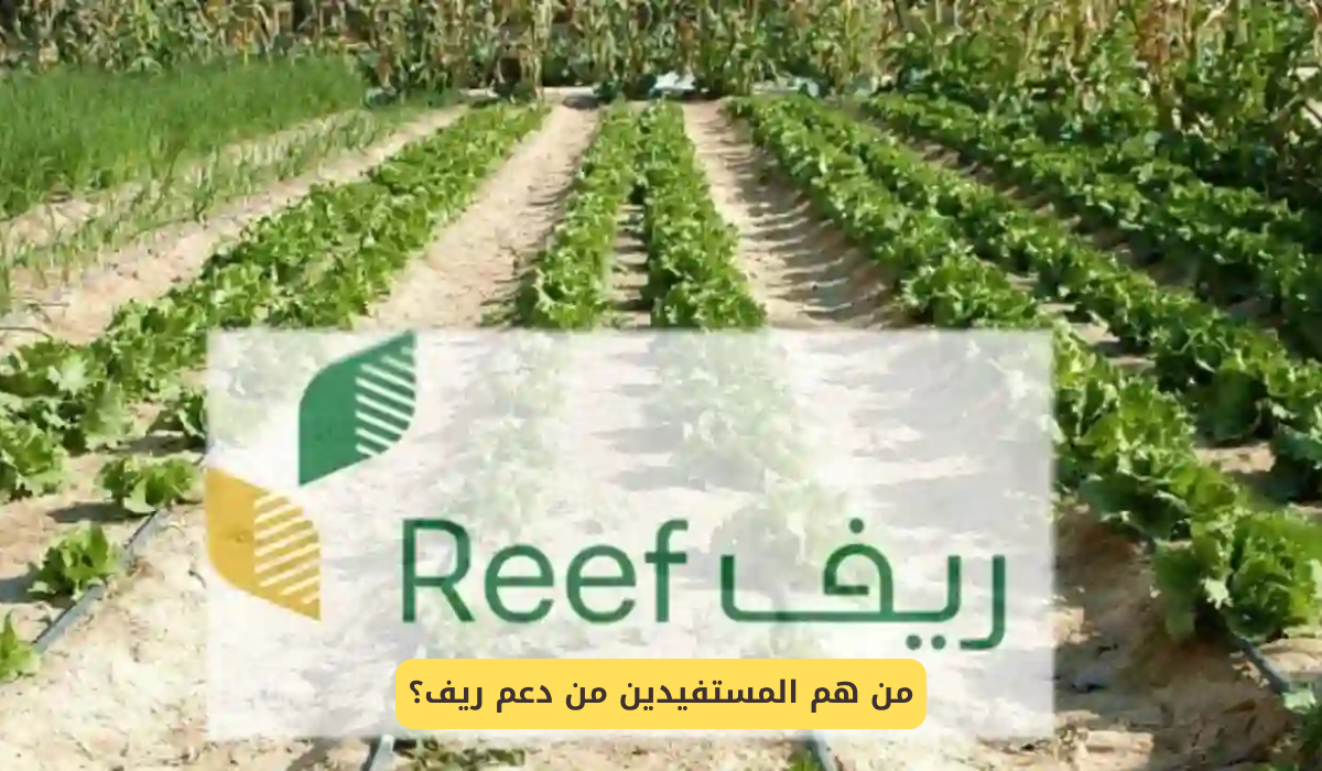 المستفيدين من دعم ريف
