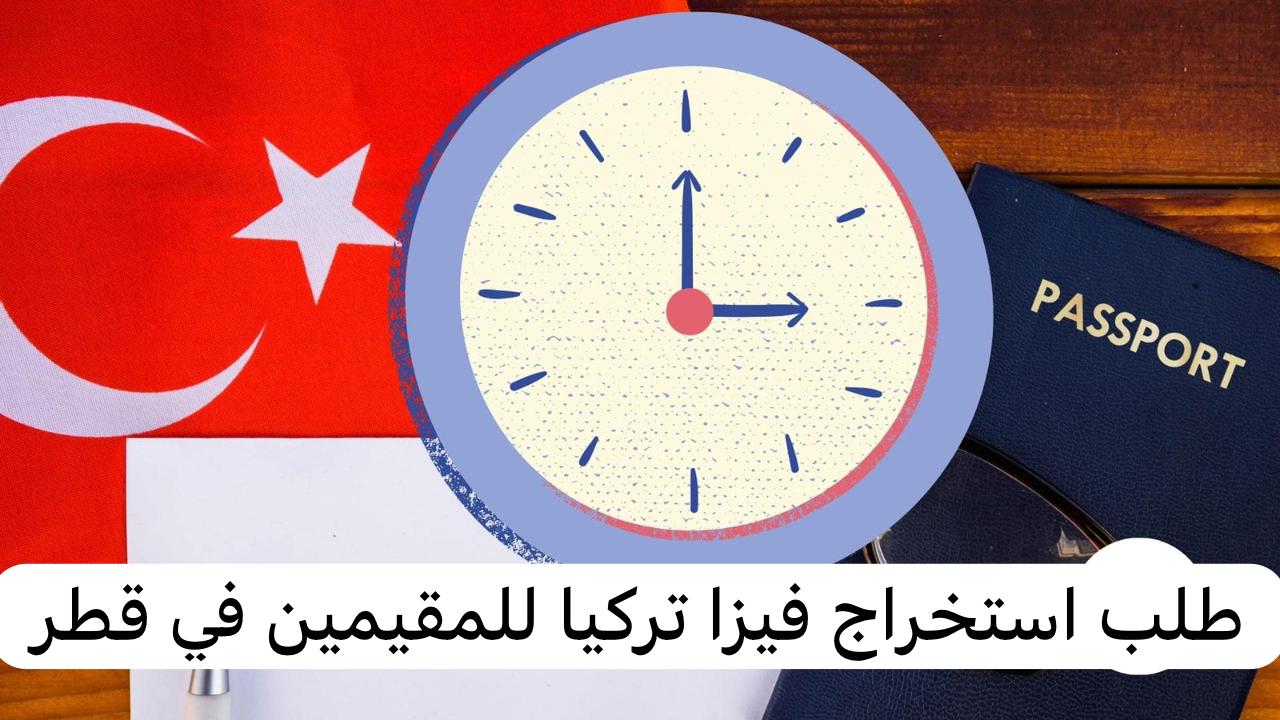 فيزا تركيا