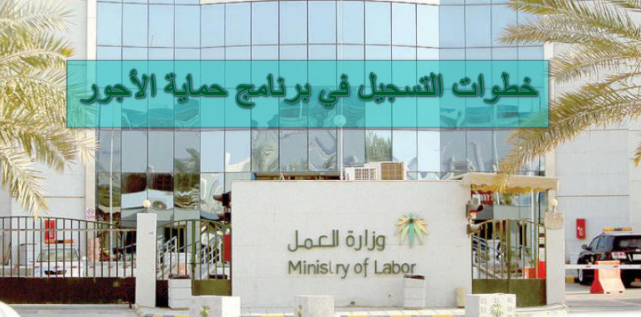 خطوات التسجيل في برنامج حماية الأجور