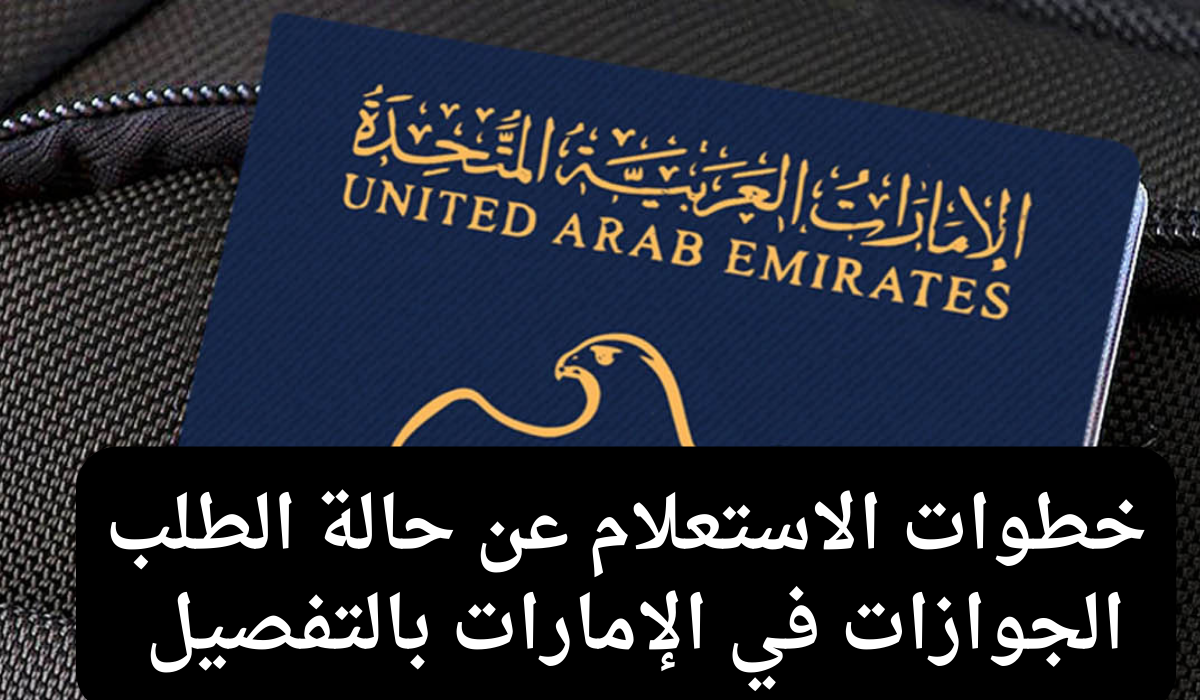 الاستعلام عن حالة الطلب الجوازات 