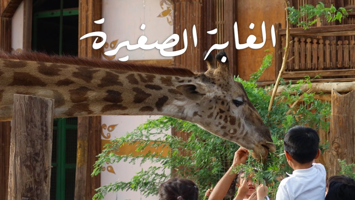 مواعيد عمل الغابة الصغيرة في الكويت