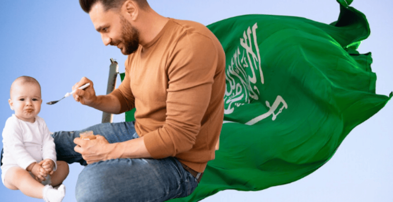 نظام الخدمة المدنية السعودي