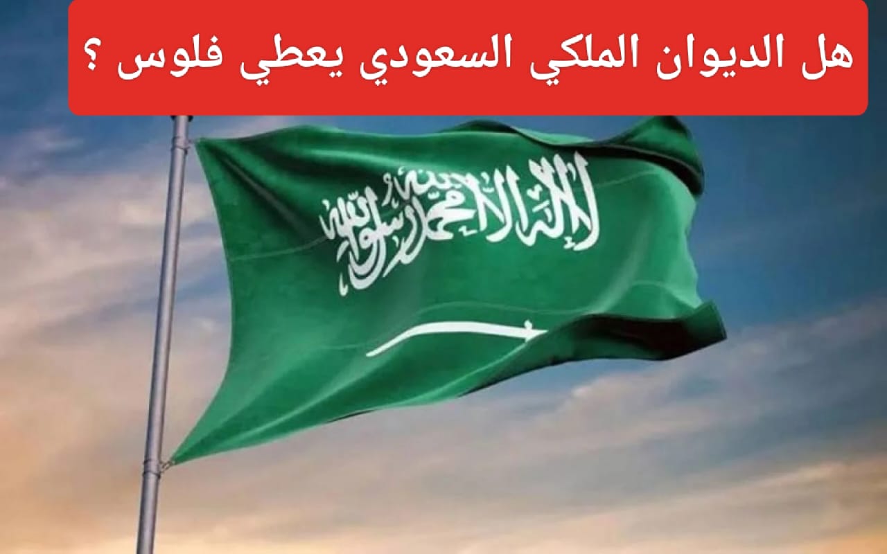 هل الديوان الملكي يعطي مساعدات مالية؟
