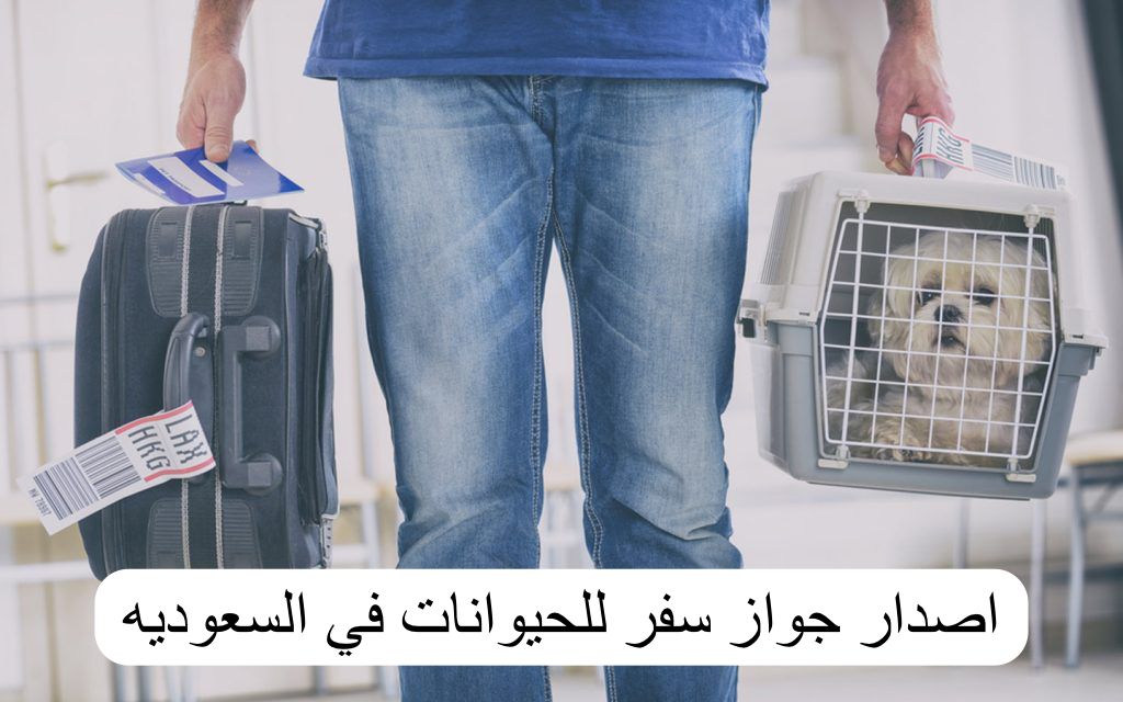 اصدار جواز سفر للحيوانات