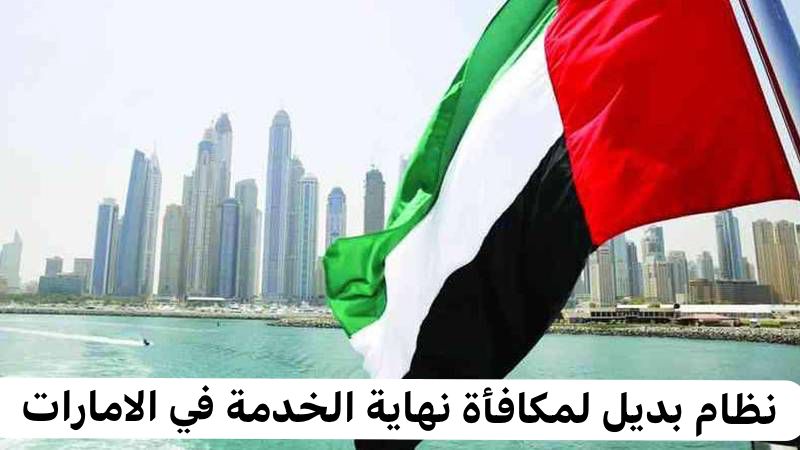 نظام بديل لمكافأة نهاية الخدمة