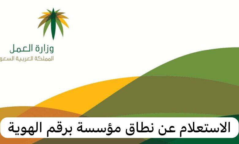 الاستعلام عن نطاق مؤسسة