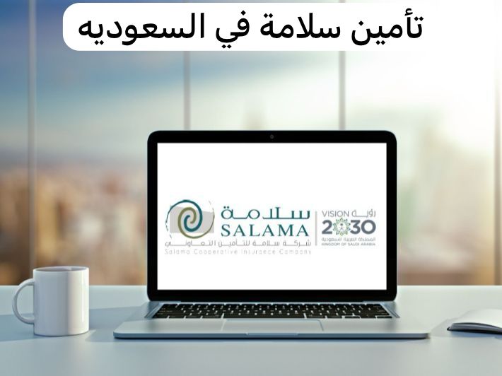 تأمين سلامة