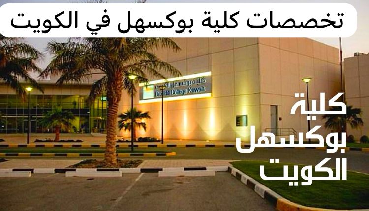 تخصصات كلية بوكسهل