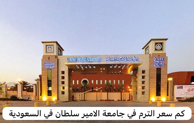 جامعة الأمير سلطان