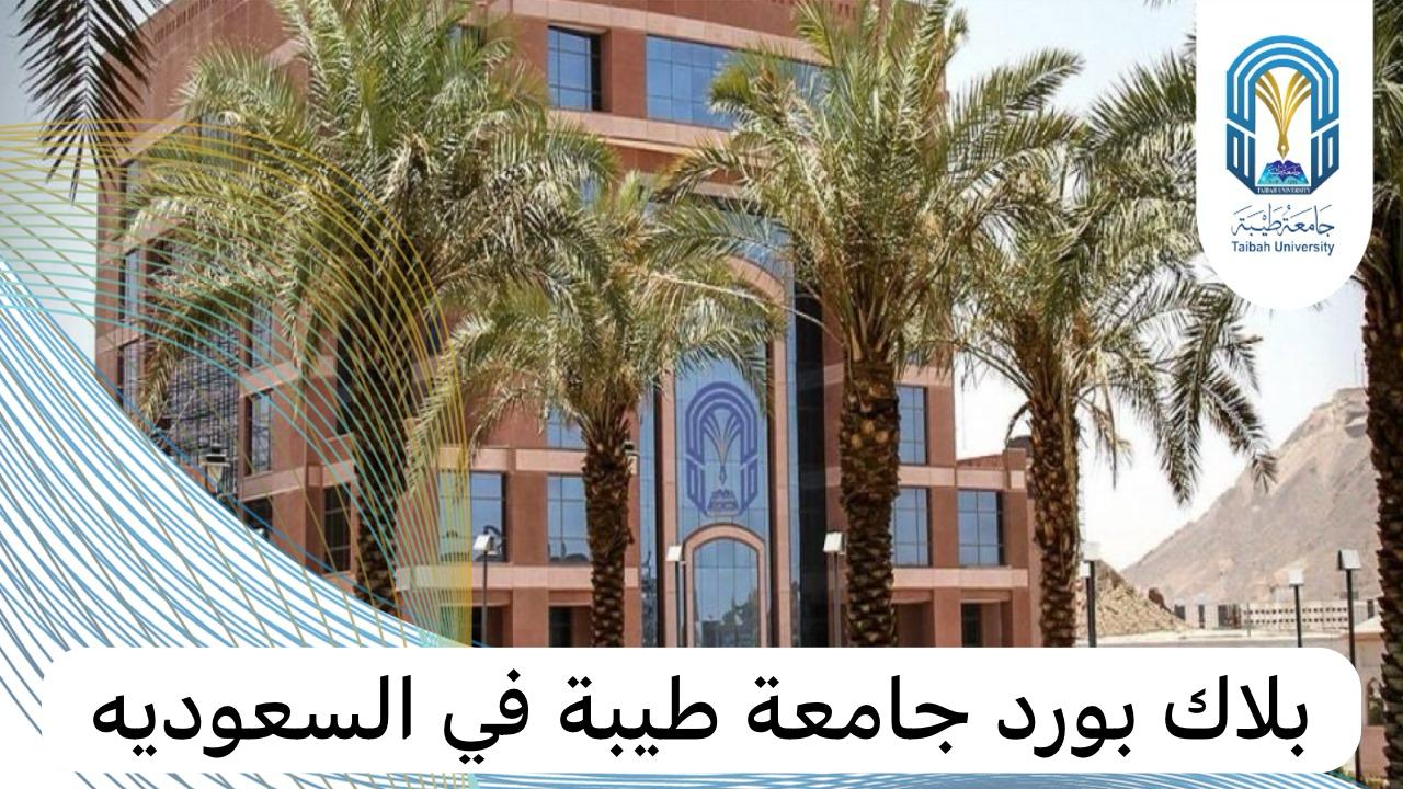 بلاك بورد جامعة طيبة 